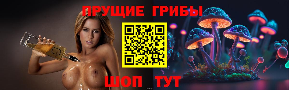 Псилоцибиновые грибы MAGIC MUSHROOMS  Псилоцибиновые грибы MAGIC MUSHROOMS  Ярцево  Вход с VPN 